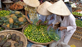 image-86